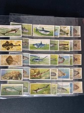 cigarette cards sea fishes full set 1935