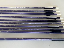 X10 Easton Arrows 1516 Lite Archery Bow Hunting 64cm