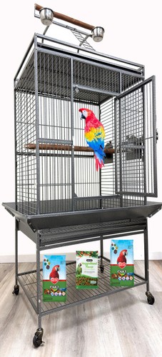 Large parrot bird perch - parrot,