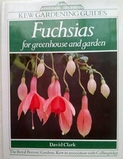 Fuchsias for Greenhouse and