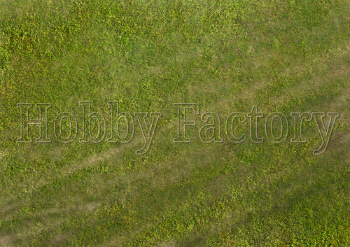 Grass airfield display - airfield,