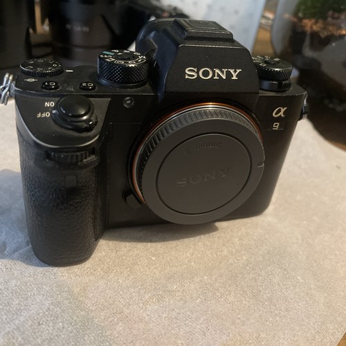 Sony alpha 2mp digital - alpha, 24.2mp