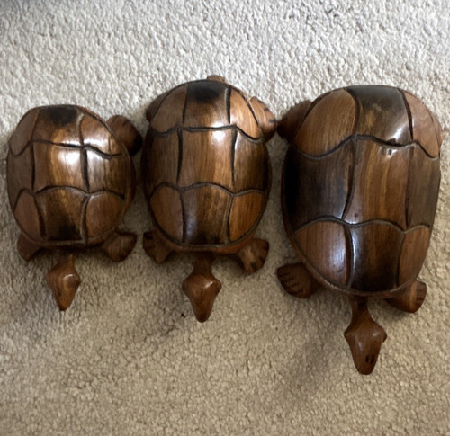 Set wooden turtle - of,