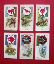 PLAYERS  SIX  1933 CIGARETTE CARDS  BOY SCOUTS & GIRL GUIDES   2-4-7-22-32-33