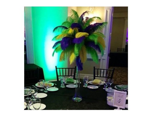 Mardi gras ostrich feather - mardi,