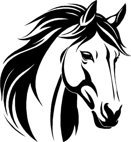 Horse animal head wall - horse,