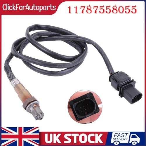 Wires oxygen lambda - 5, o2