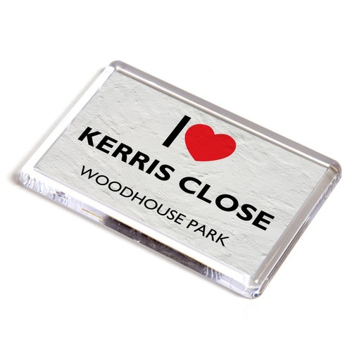 Fridge magnet love - fridge,