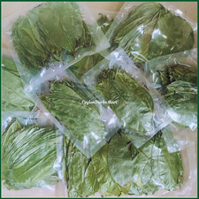 Dried Soursop Graviola Leaves