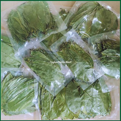 Dried soursop graviola leaves - dried,