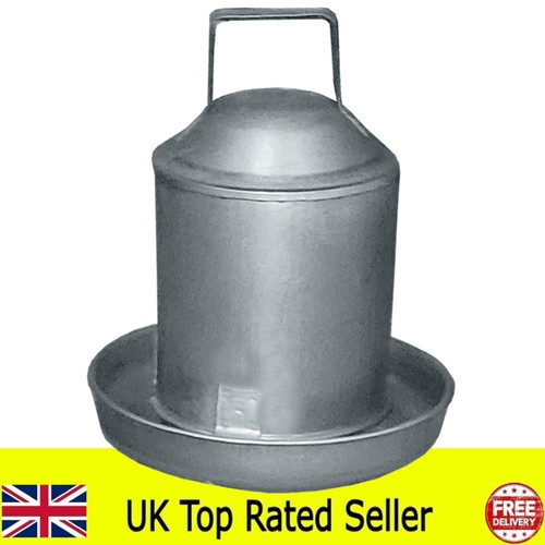 Galvanised metal chicken - galvanised,
