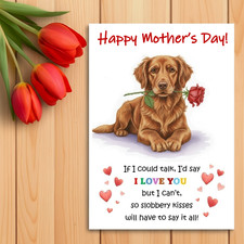 Chesapeake Bay Retriever