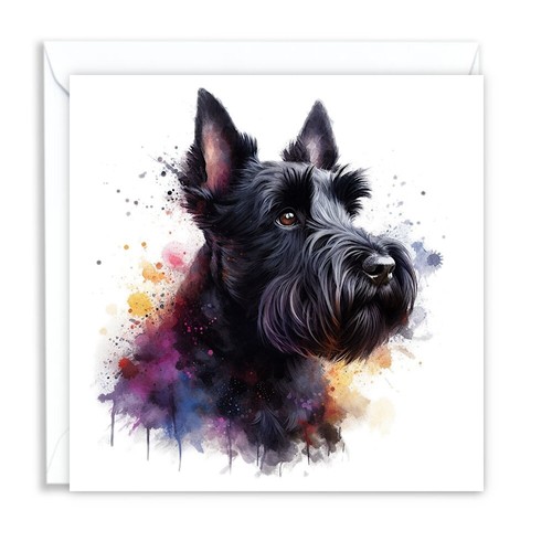 Scottish terrier scottie dog - scottie,