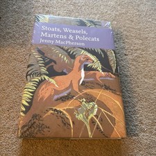 Stoats, Weasel, Marten and