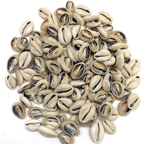 100 pcs beige white natural - 100,