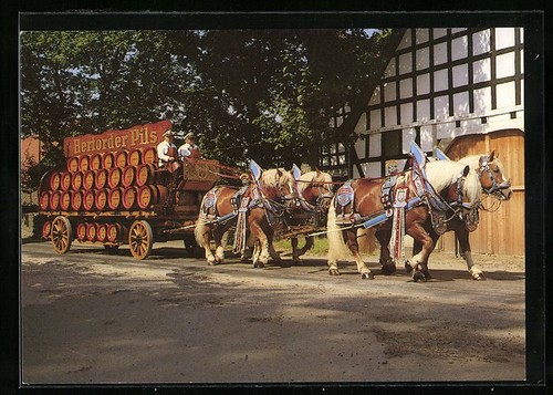 Horse drawn wagon the - horse-drawn, of