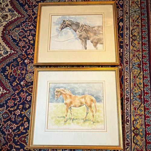 Tabitha salmon signed - tabitha,