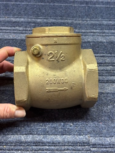 Inch swing check valve - swing,