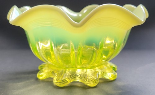 Antique pearline primrose - antique,