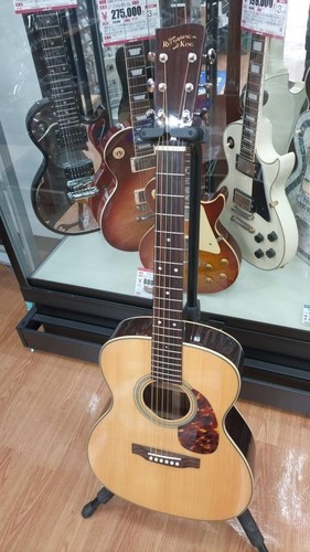 Recording king 328 acoustic - ro-328,