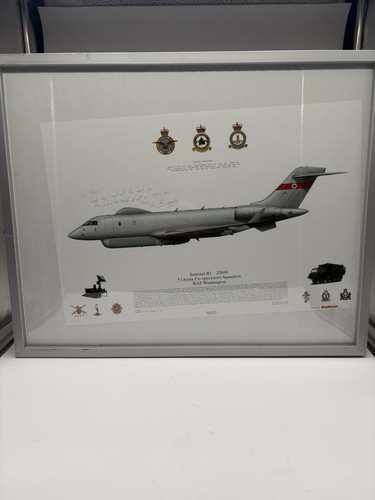 Raf sentinel zj690 army - r1,
