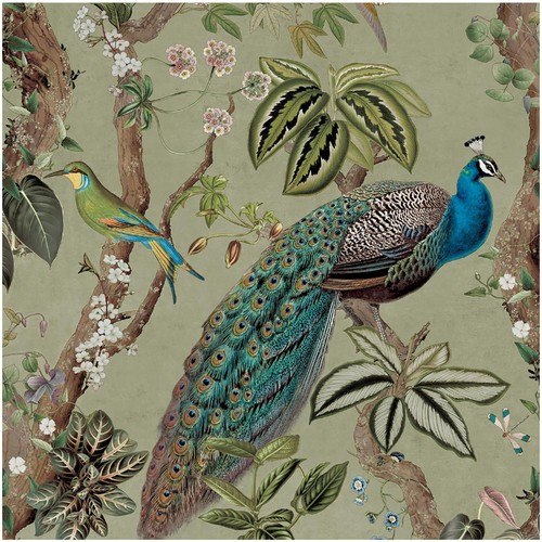 Peacock woods sage green - peacock,