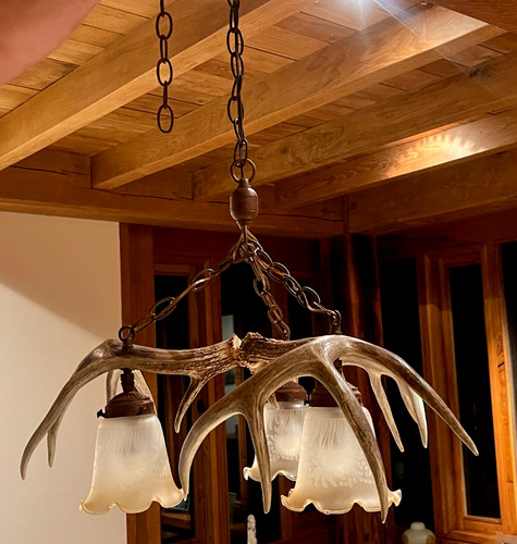 Vintage antler chandelier - antler, –