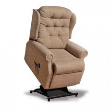 Electric Riser  and recliner