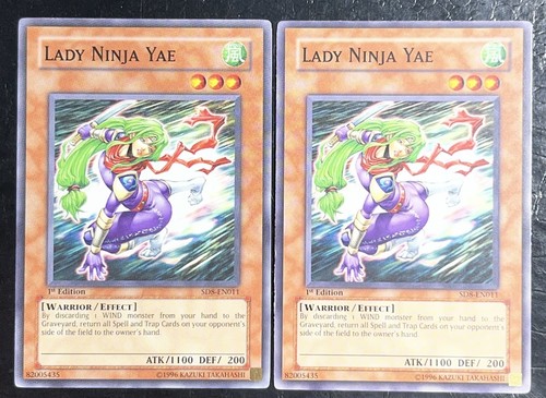Lady ninja yae sd8 - lady,