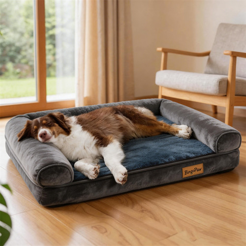 Bingopaw orthopedic dog bed - orthopedic,