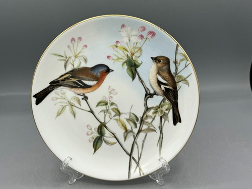 Coalport birds great - birds, of