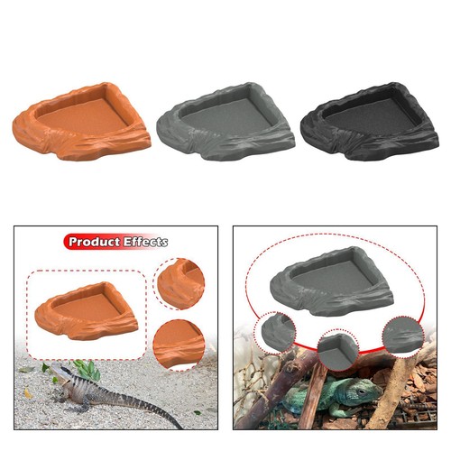 Reptile water dish - dish, corner