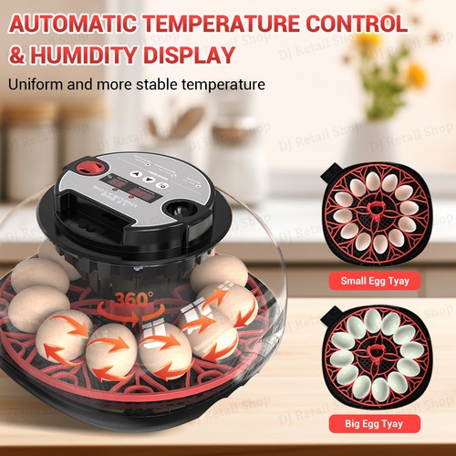 Eggs incubator automatic - eggs,