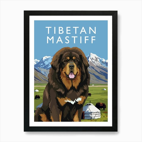 Tibetan mastiff art print - tibetan,