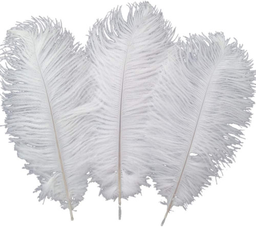 Sowder 10pcs ostrich feathers - 10pcs,
