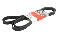 GAT multi - ribbed belt fits