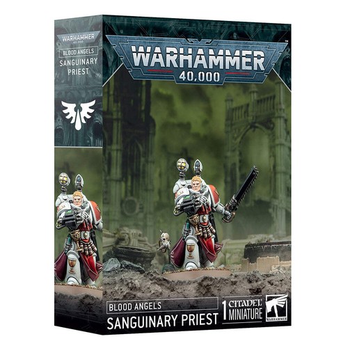 Blood angels sanguinary - angels,
