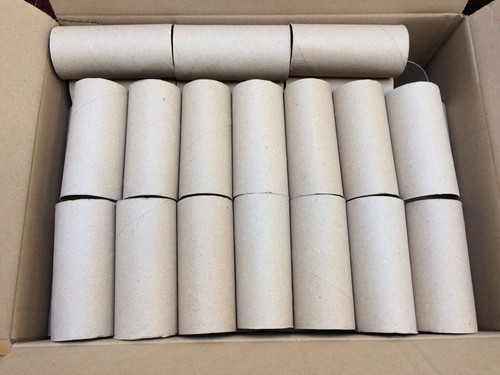 Toilet loo roll - x, tubes