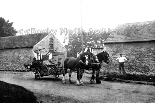 Yww horses and threshing - yww-68,