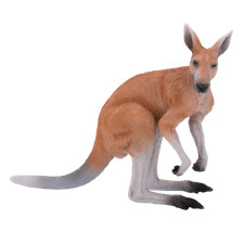 Mojo KANGAROO Australian wild