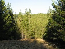 Photo 6x4 Ride and escape