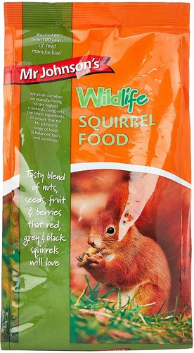 Wildlife squirrel food - squirrel, x