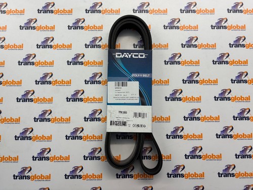 Water pump drive belt for - water, land