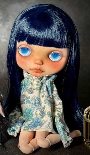 Used custom blythe asian - custom,