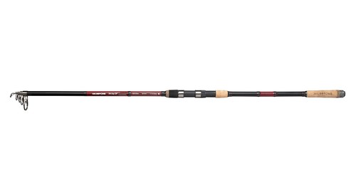 Carp rod milestone - rod,