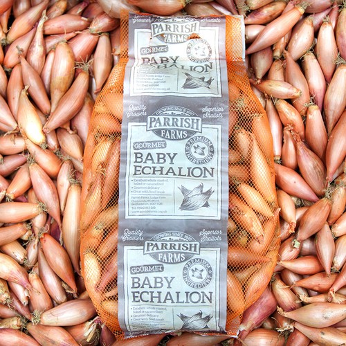 Banana echalion shallots - shallots, baby