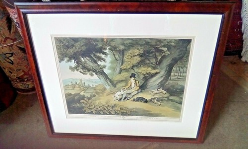 Chasse aux lapin rabbit - chasse,