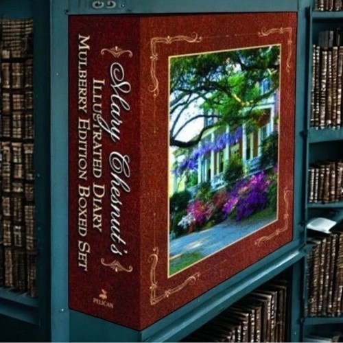 Mary chesnut illustrated - chesnut's,