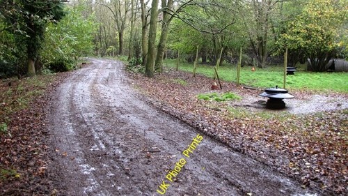 Photo 6x4 pheasant feeders and - photo,