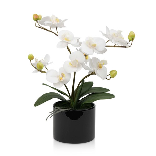 Artificial plant fake - plant, silk